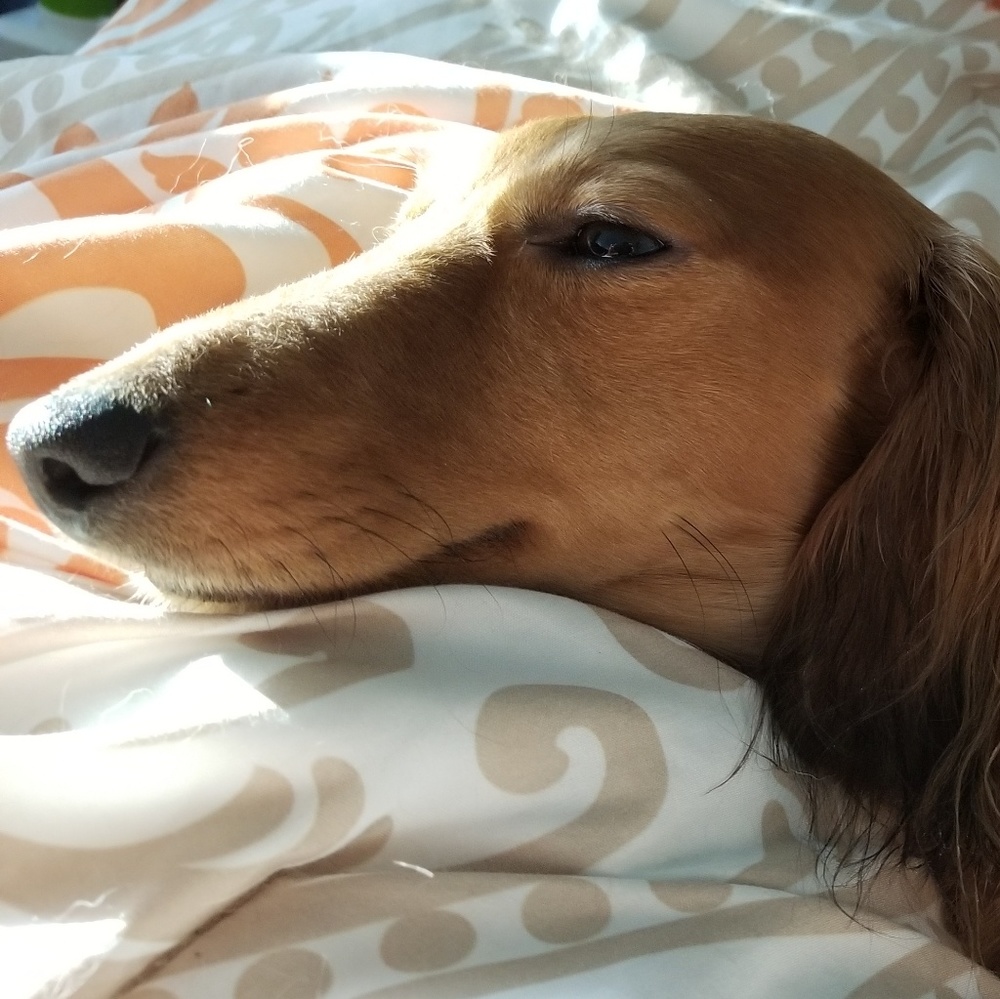 Meet your Posh Ambassador, Ulara Moon